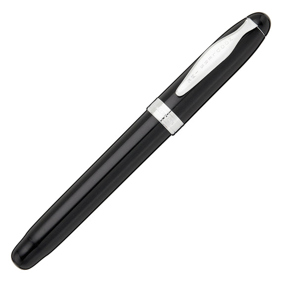 Noodler's Ahab Flex Fountain Pen - Black