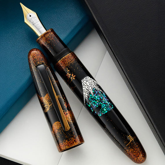 Fountain pen with decorative cap on a white surface